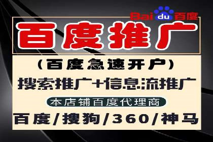 行业报告：专业SEM托管的成功实践与挑战